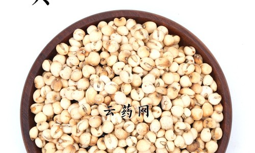 西红柿功能主治与作用专区_西红柿的功效与作用点专区_查西红柿功效与作用网